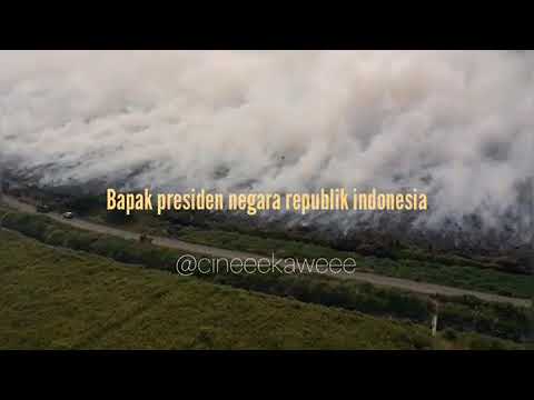 Surat untuk pemerintah 