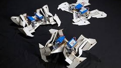 Self-Folding Origami Robot  Get Up  And Walks