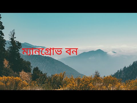 ভিডিও: ম্যানগ্রোভ বন কে?