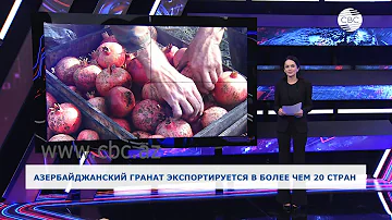 Азербайджанский гранат экспортируется в более чем 20 стран