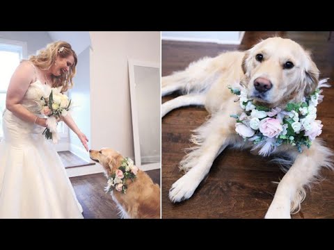 Bride Makes Dog Flower Girl at Wedding: 'She's Just Family'