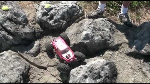 SCRC Busse Woods 7-17-2010