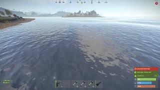 RUST | execution