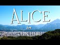 Alice in chichibu