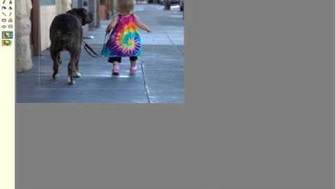 wjwConsulting tutorial: Cropping using XP Paint