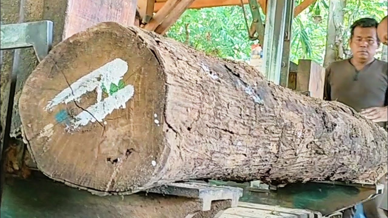 sawing dry teak wood full of old grain into good planks - YouTube