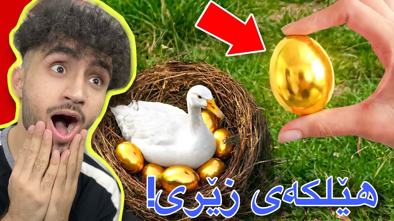 ئەو شتانەی مرۆڤ قەت نەیدیوە | شتی واش هەیە😁