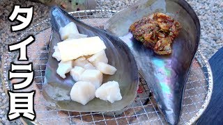 毛が生えてる貝？タイラ貝を七輪で焼いて食べてみた！