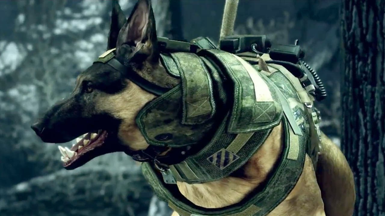 Call of Duty Ghosts Glitch Guard Dog Gets Stuck YouTube