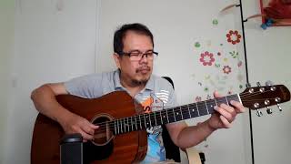 Wonderful Tonight (Eric Clapton) Walden D351 Acoustic Guitar Fingerstyle Demo Cover
