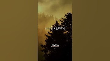 ما تيسر من سورة  هود - تلاوة مؤثرة بصوت معاذ الخلطي 📖🌙  #اكسبلور #تلاوة_خاشعة