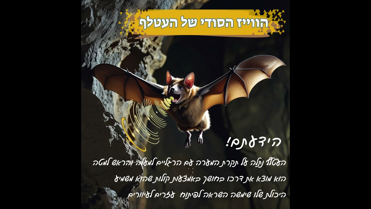 הווייז הסודי של העטלף
