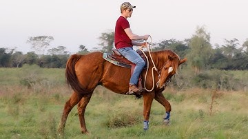 How To Fix A Horse That WON