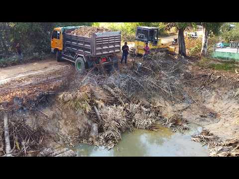 First Start Amazing PROJECT!! LANDFILL Delete Deep Fish Pond Use Strong D31P Bulldozer & 5Ton Truck.