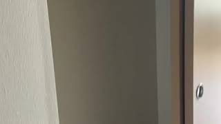 425 Virtual Tour