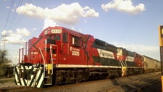 El Horn Mas Gacho De Ferromex Fouled Horn Nathan P3