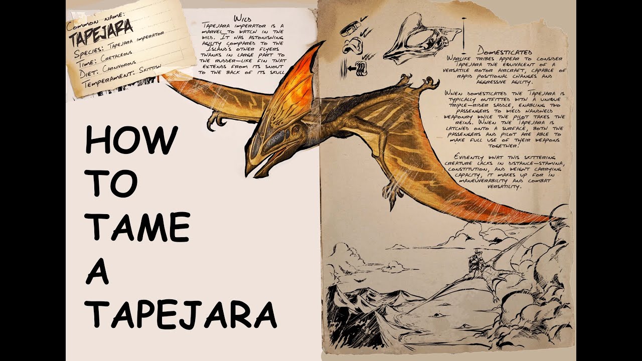 How to tame a Tapejara YouTube
