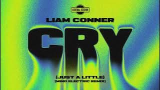 Liam Conner - Cry (Just a Little) [Mind Electric Remix]