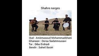 مدن النرجس,Daffodils City