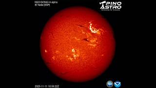 Powerful X-Class Flare (X5.1) in H-alpha, Today, Nov 11, 2025 #PinoAstro