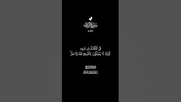 الآية 16 من سورة الرعد #الشيخ_سعد_الغامدي