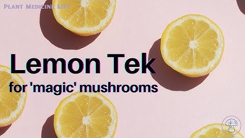 Lemon Tek for Mushrooms 🍄🍋