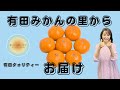 みかん好きさん必見！有田みかんの美味しさをお届けします。〜和歌山県・有田市
