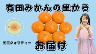 みかん好きさん必見！有田みかんの美味しさをお届けします。〜和歌山県・有田市