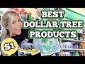 LIFE CHANGING DOLLAR TREE PRODUCTS (everyone should know about!)