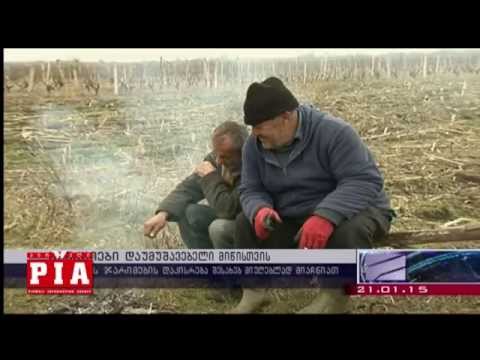 გლეხებს დააჯარიმებენ თუ მიწას არ დაამუშავებენ