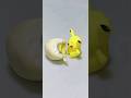 ポケモンのように卵を食べて幸せになろう Eat eggs like pokemon and stay happy #shorts #stopmotion #short