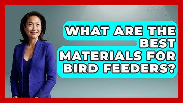 What Are The Best Materials For Bird Feeders? - Bird Watching Diaries