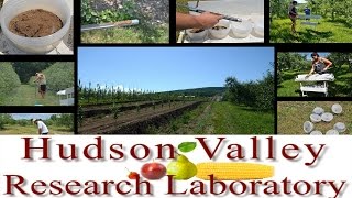 Nematode Field Sampling