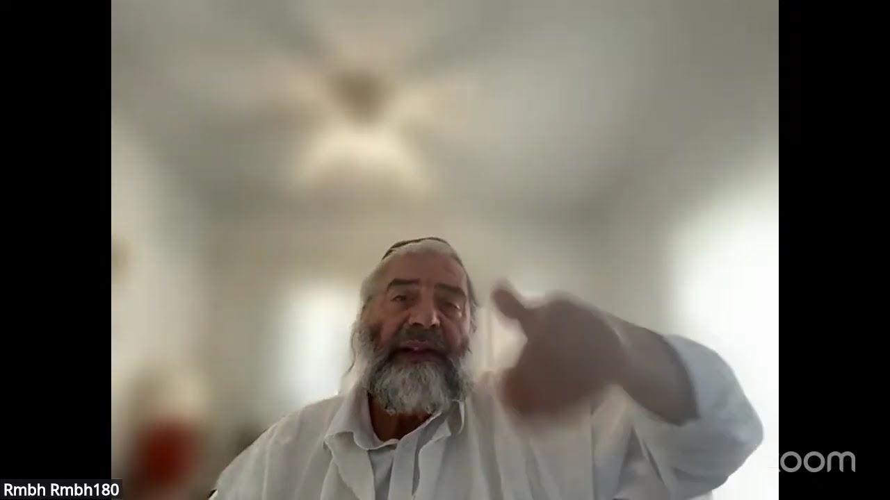 Daf HaYomi - Zevahim 91