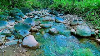 Gentle River in a Celestial Garden – Calming Water Sounds to Ease Anxiety and Support Restful Sleep