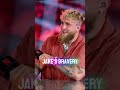 “Boxing Pros DESTROY Jake Paul After Anthony Joshua Fight!”