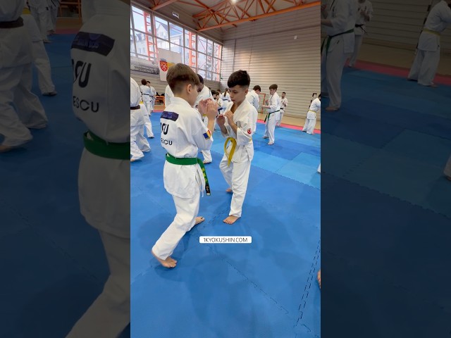 Cristian Boldut Fight Camp 2026 #kyokushin #shinkyokushin #karate #1kyokushin #一極真 #極真会館