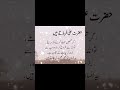 hazrat ali farmaty hen🥺🫀 #islamicshorts #hazrataliquotesstatus #islamicvide#foryou #viralvideo