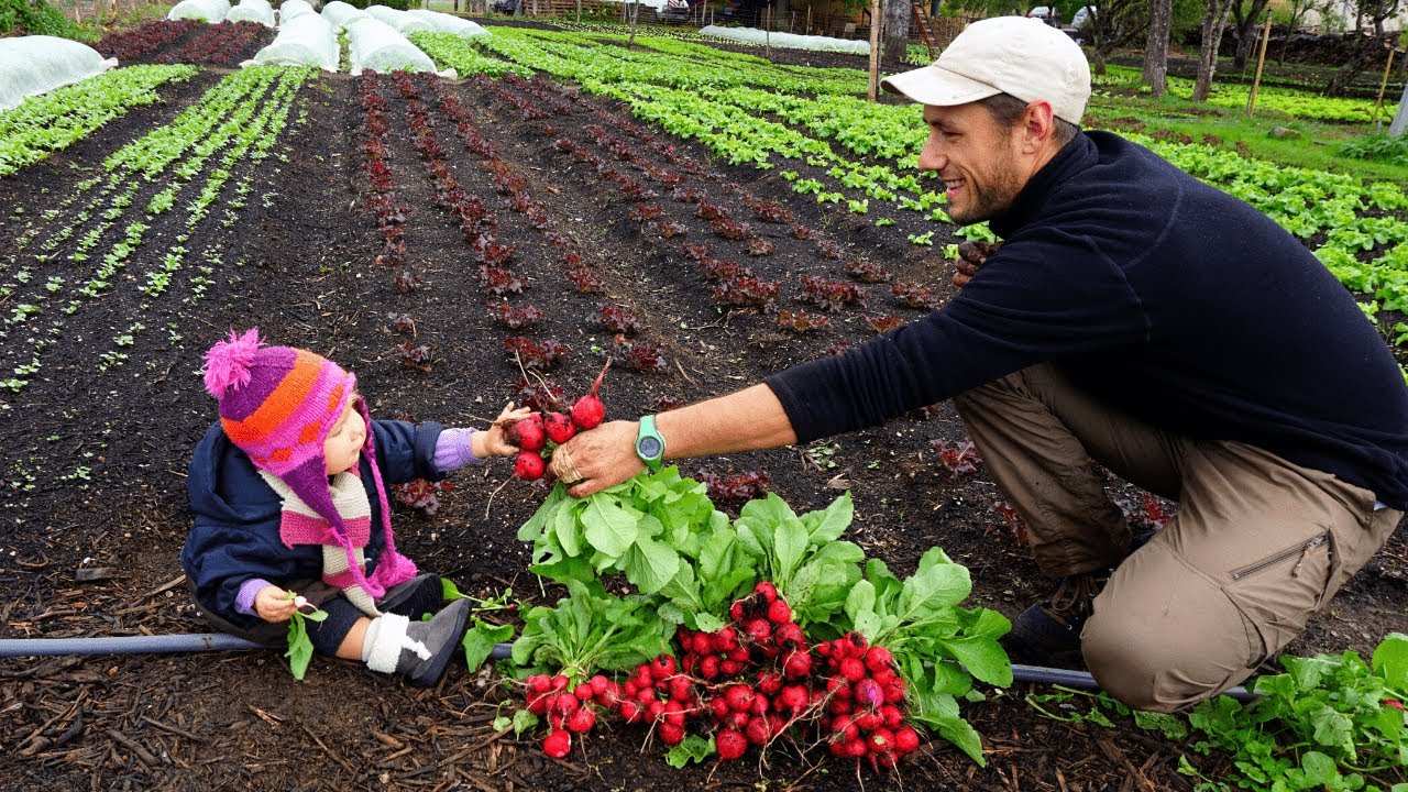 How to Start a Homestead Food Garden Anywhere YouTube