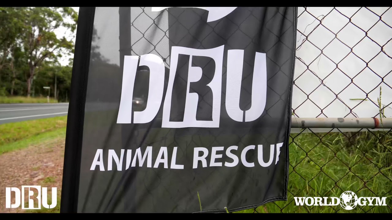 Save Deathrow Unchained