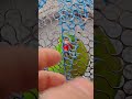 #birds #parrot #1000subscriber