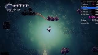 Hollow Knight All Skills Speedrun (NSOOB) 53:59.91