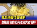 鳳梨迎最佳賞味期  農糧署合作超商邀消費者嘗鮮