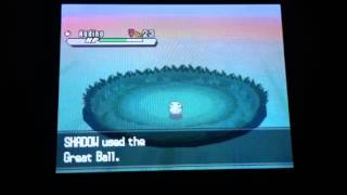 Shiny Pokemon! White 2 Version! Random Encounter