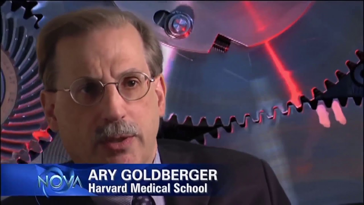 The Science Behind Wonrate Camo