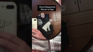 Κοιτα διακριτικά 😂 #κατοικιδια