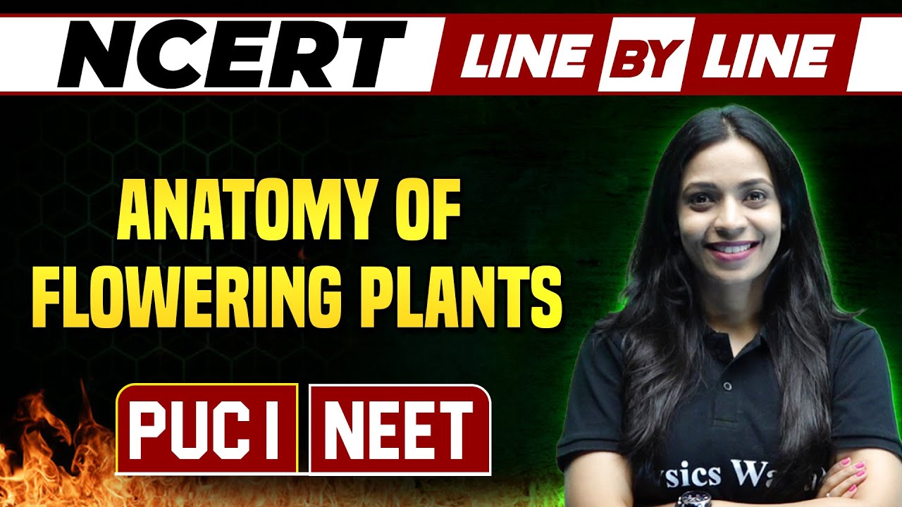 ANATOMY OF FLOWERING PLANTS NCERT Line By Line Botany PUC 1