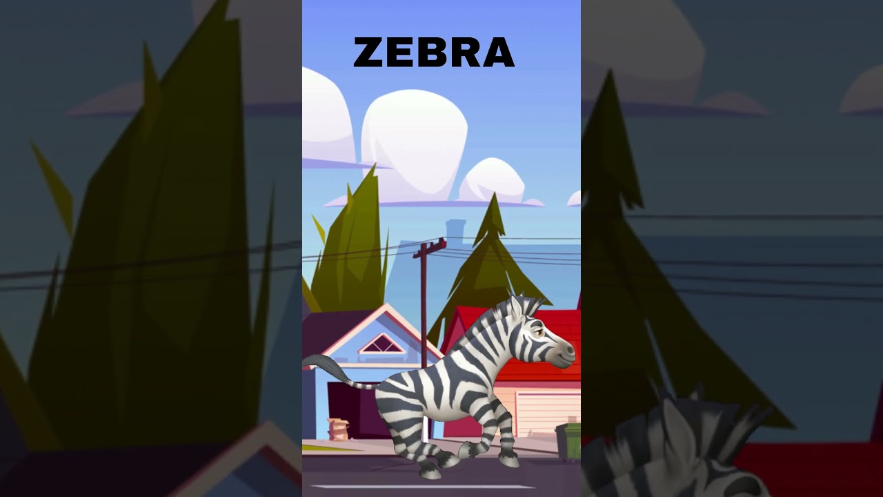 Zebra Run | 
