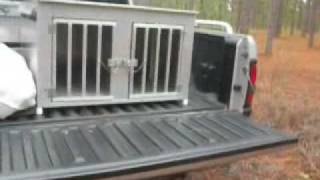 Deer Hunting With Dogs Hunt