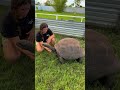 Got to chill with a cool bro 🐢 this guy’s been around the sun more than once